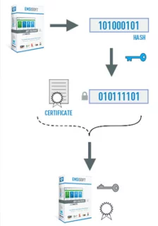 What is a Digital Certificate?