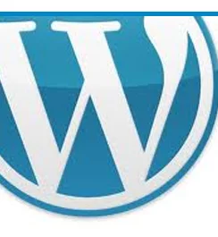 Alert: If you’re running WordPress, it’s time to update