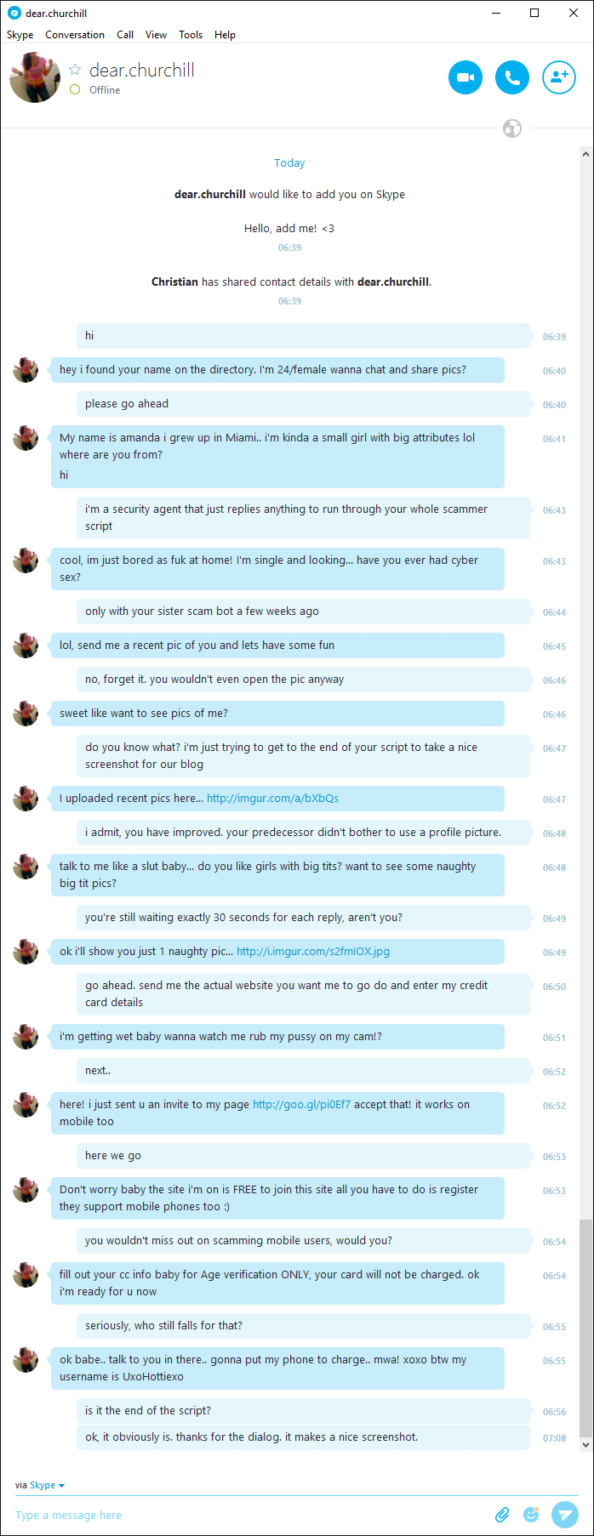 A Skype scam bot attempted to lure our CEO. This is what happened.
