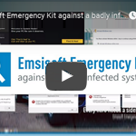 Emsisoft Emergency Kit against a badly infected system