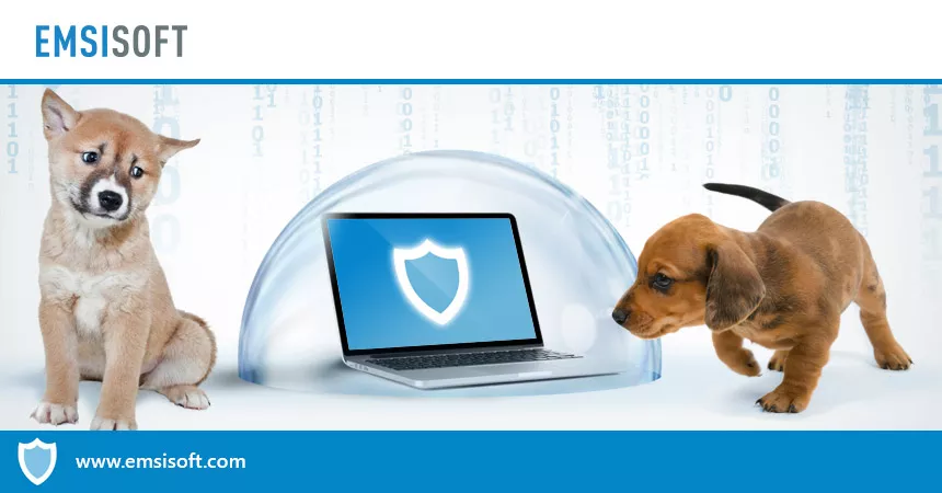 Video: Emsisoft Anti-Malware vs. PUPs