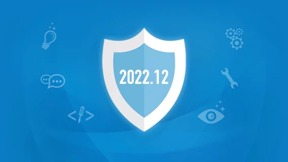 New in 2022.12: Maintenance release